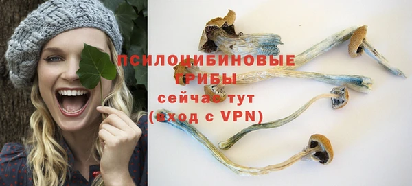 мескалин Богданович