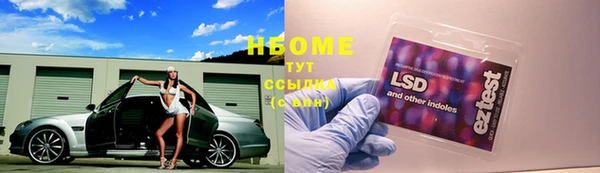 мдпв Богородицк