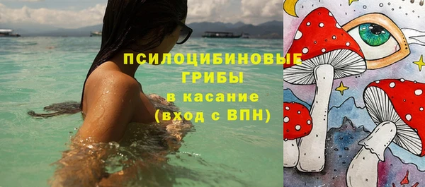 ГАЛЛЮЦИНОГЕННЫЕ ГРИБЫ Дмитров
