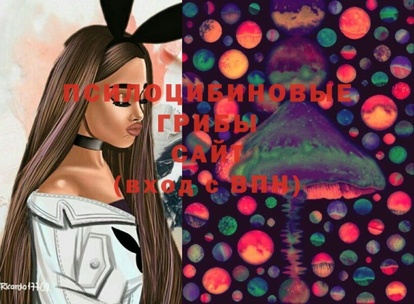 мдпв Богородицк