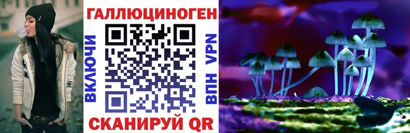 Псилоцибиновые грибы мицелий  где купить   Александровское 